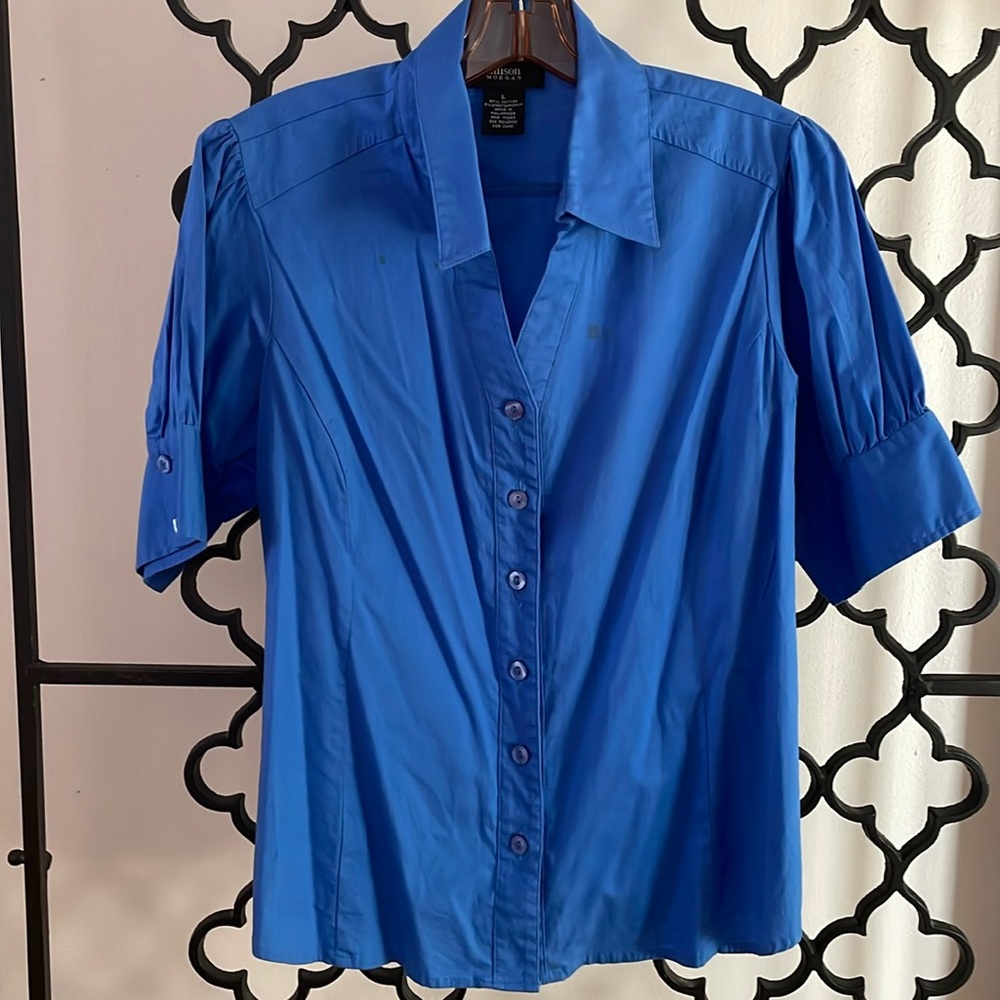 Allison Morgan V Neck Fitted Short Sleeve Button Down Collared Shirt